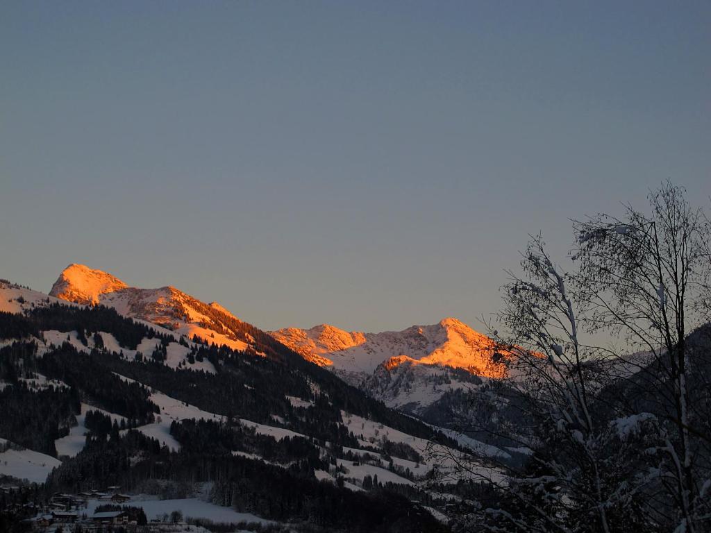 Apartment Haus Schatz Kitzbuhel Phòng bức ảnh
