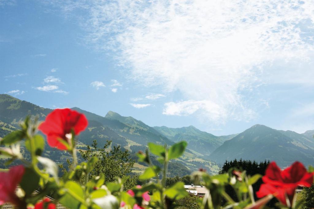 Apartment Haus Schatz Kitzbuhel Ngoại thất bức ảnh